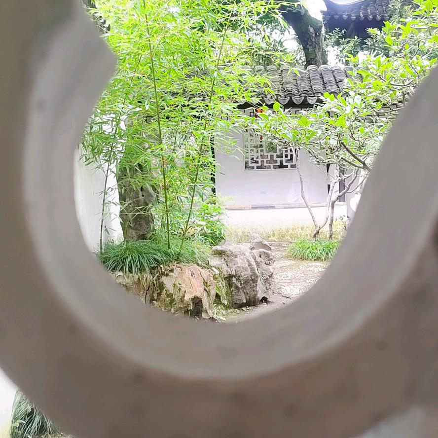 岁岁常欢愉