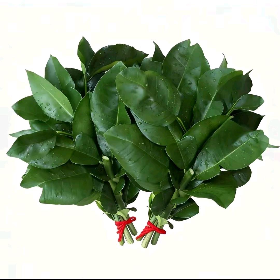 小黄同学（陪妈妈抗癌中）