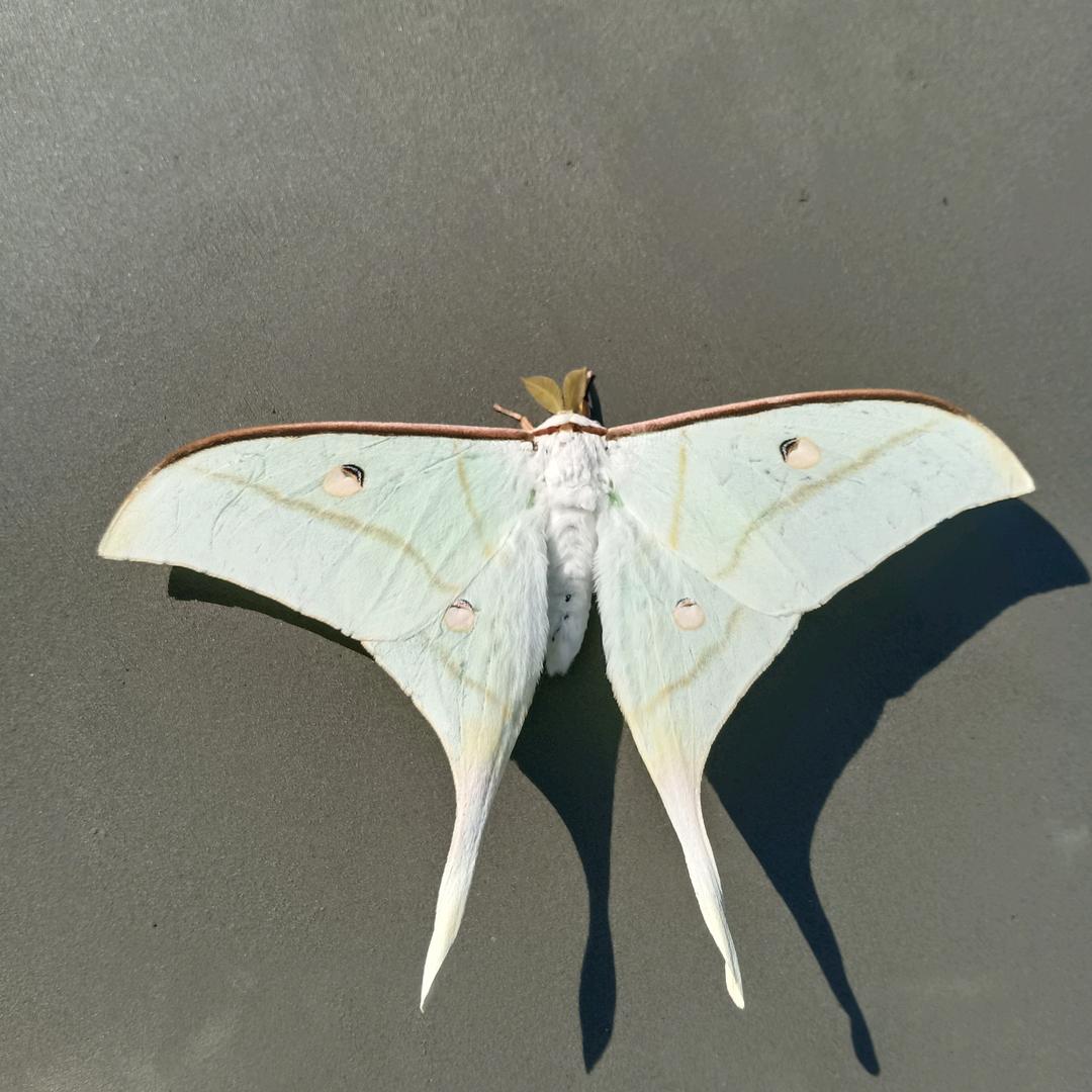 雨后阳光