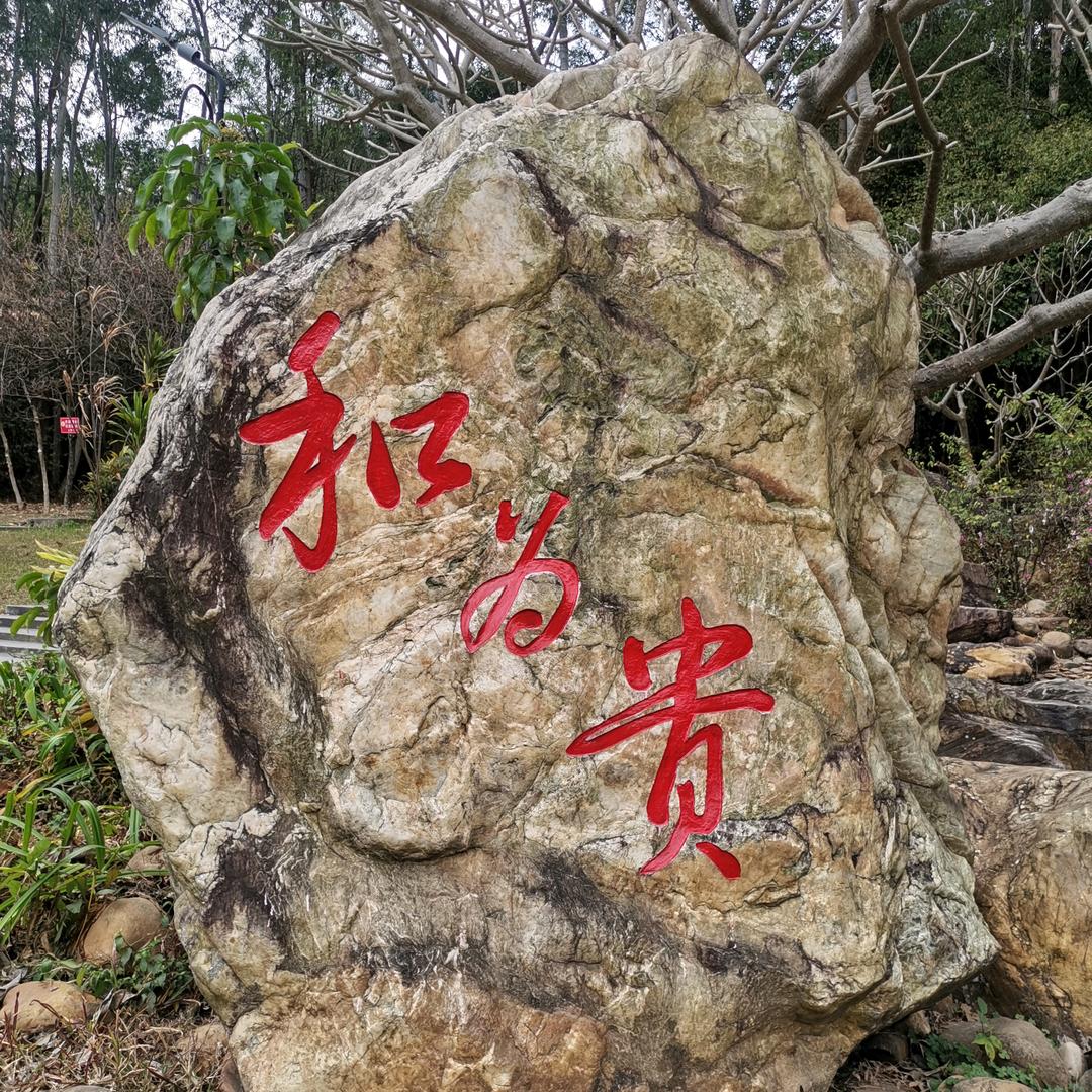 德哥