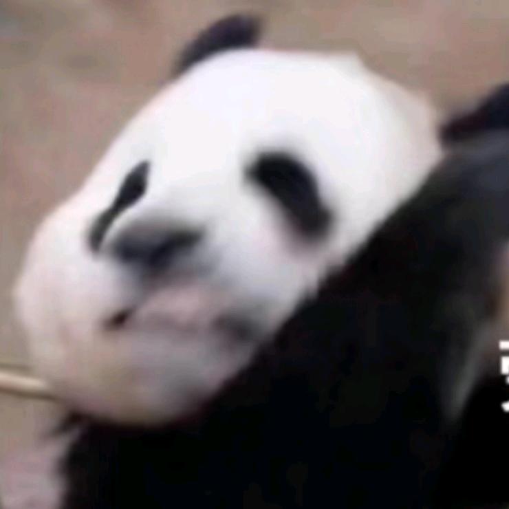 张张包