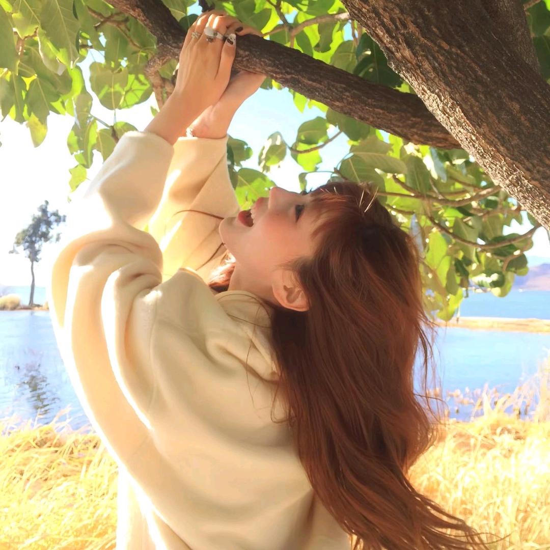 会烧白开水🦈🦁