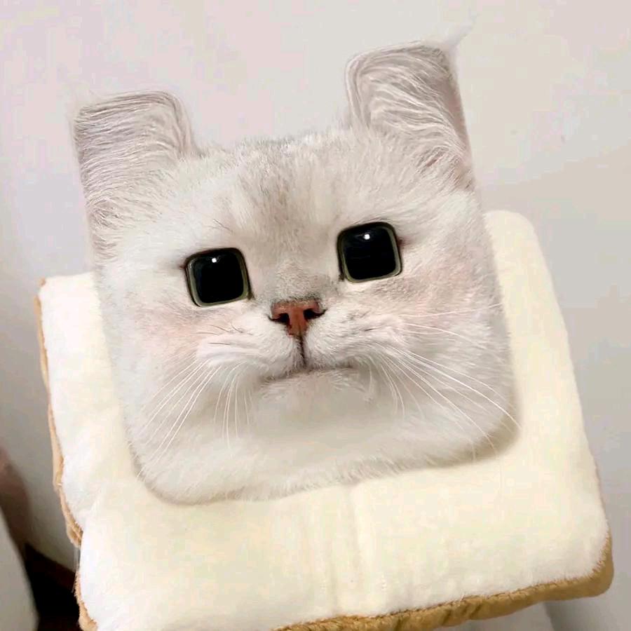 piouysn