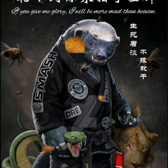可乐不加冰