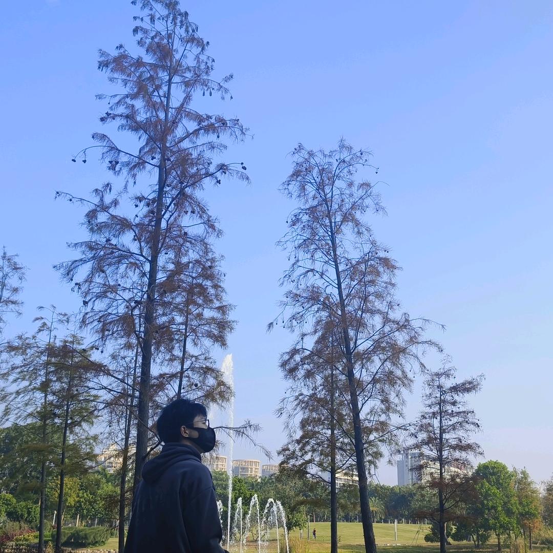 ৡ果粒陈࿐