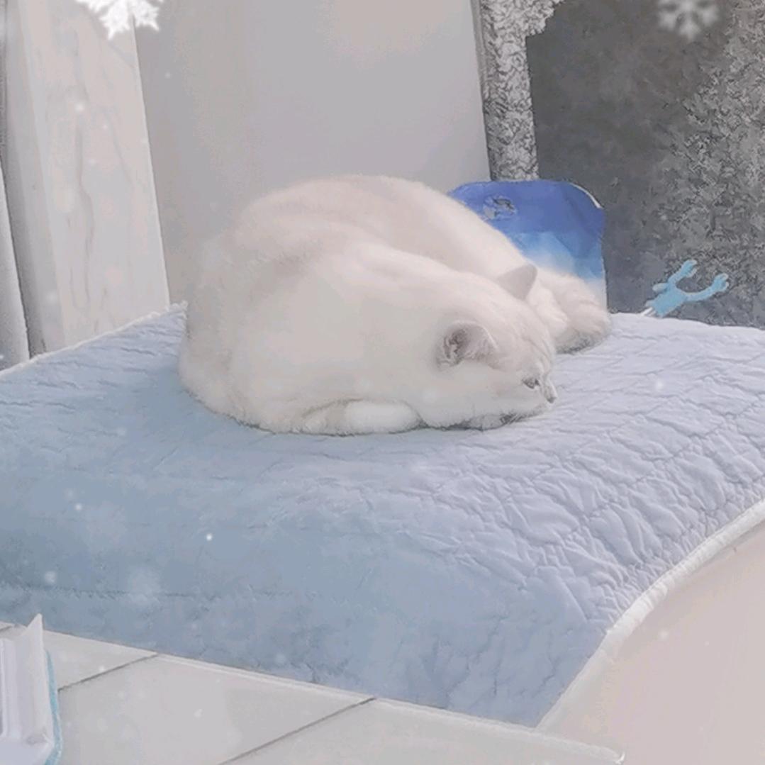 cf科技（梆硬）