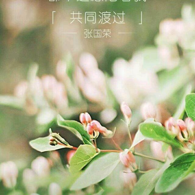 杨大同