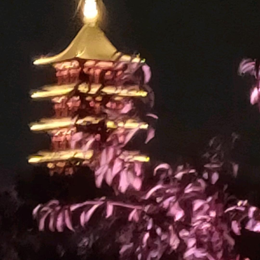 wen，Zheng