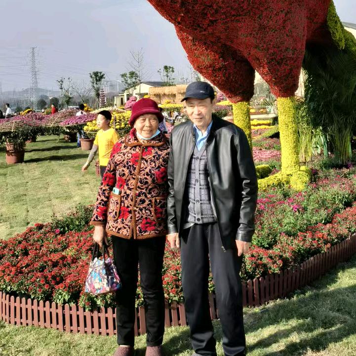 68527408562807854296