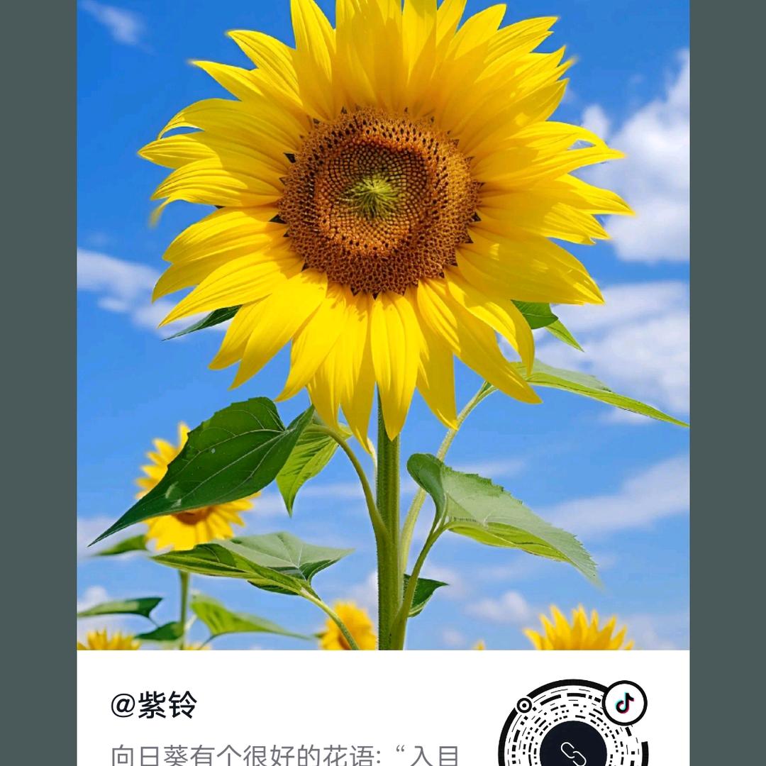 茗希美容调肤中心(金色锦城店)专用号