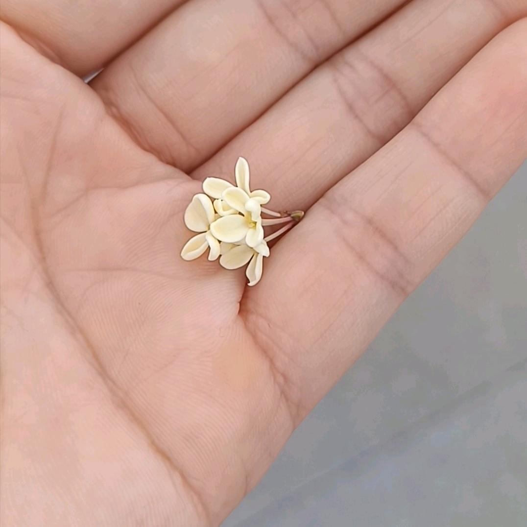诗吧远方