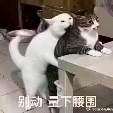 抬杠就是你有理