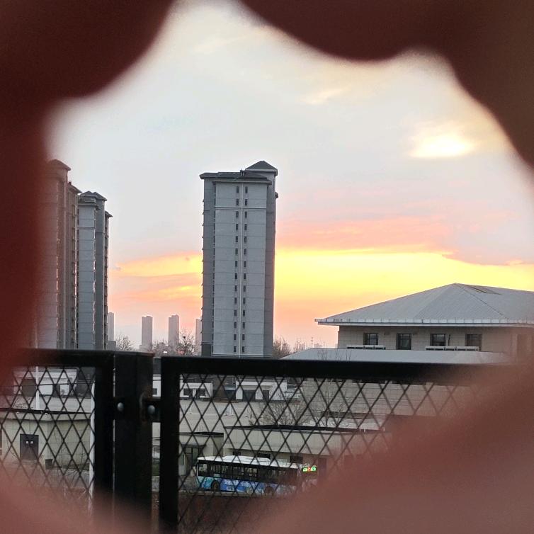 敢敢老师小跟班