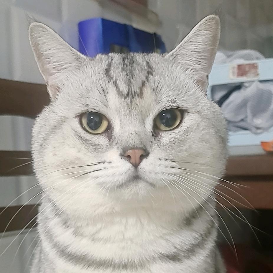 瑜多少