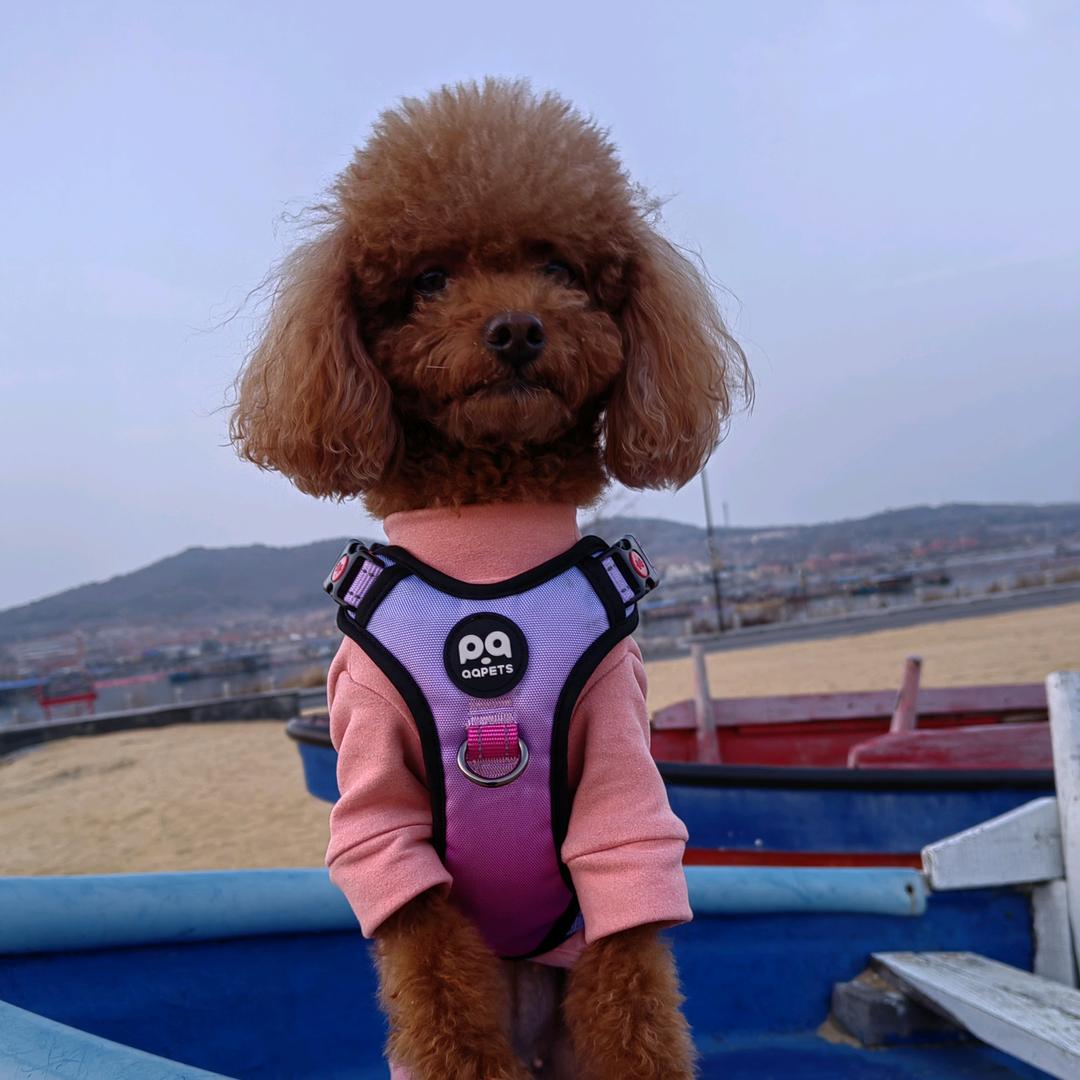 静