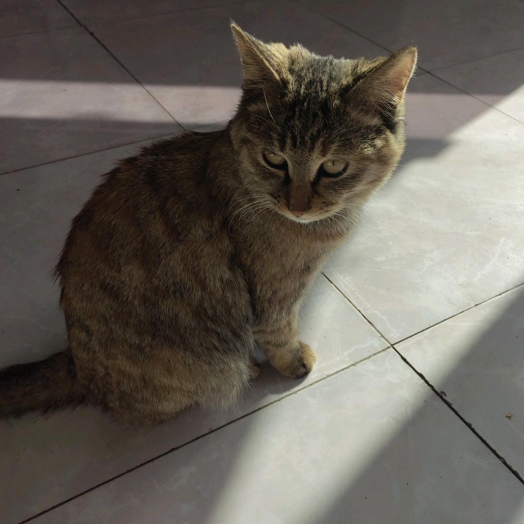 清风｀｀