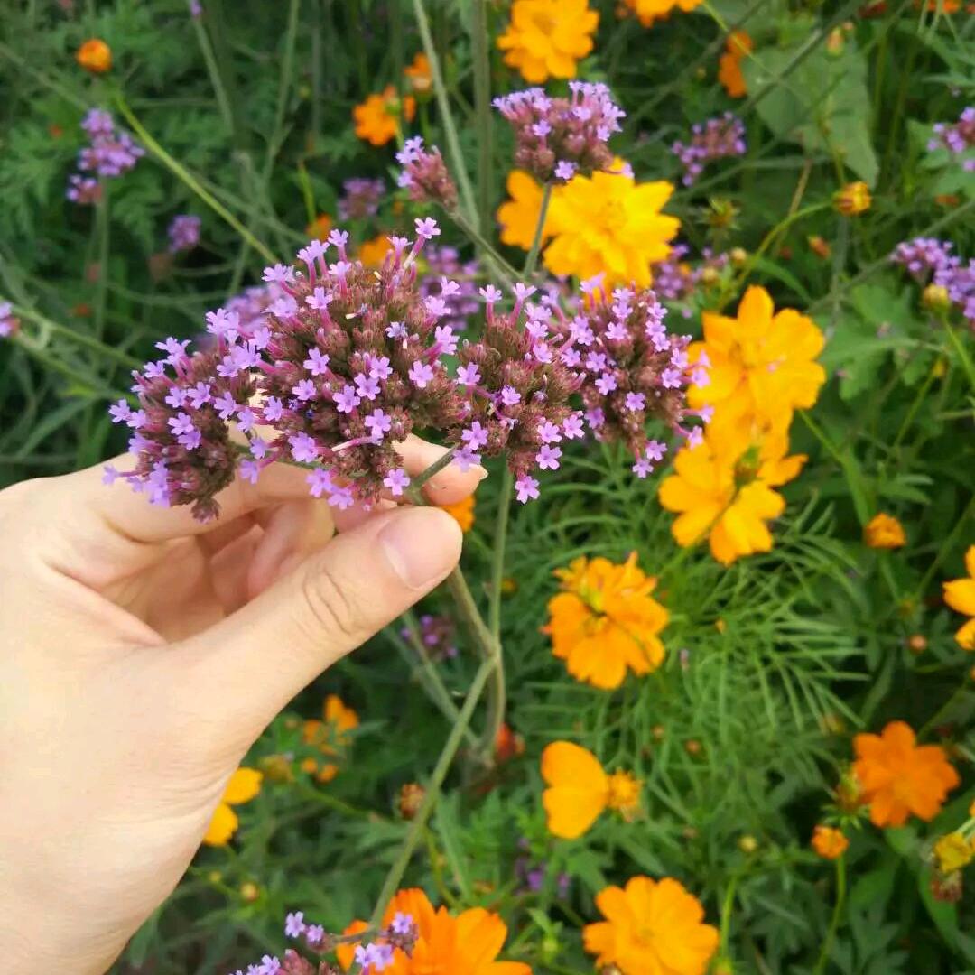 平安健康就好✌✌