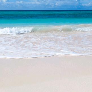 收废品的小哥🍎🍎