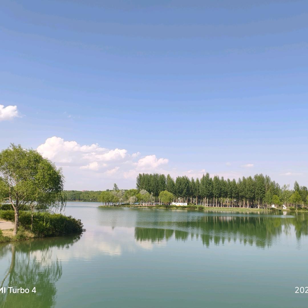 雁过无痕（请勿连赞）