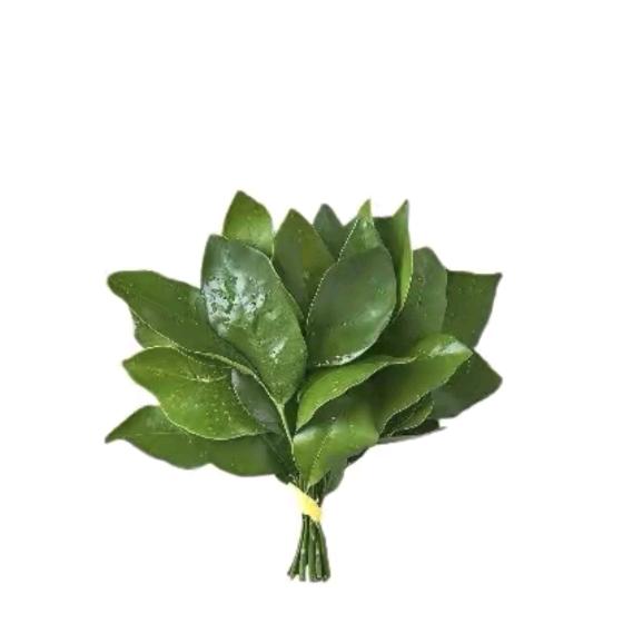 芋圆小葡萄🍇