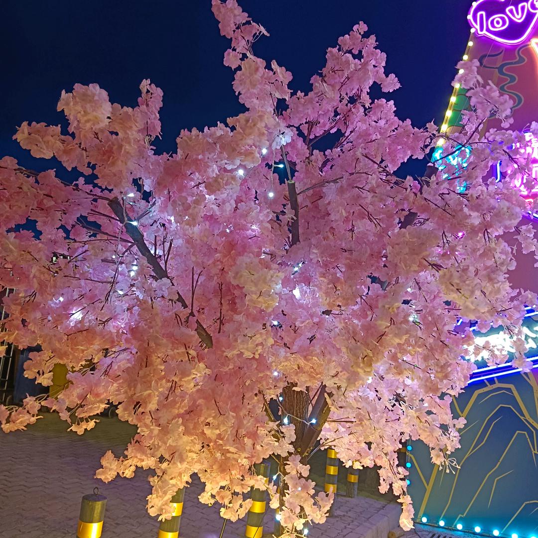 天空有情月亮