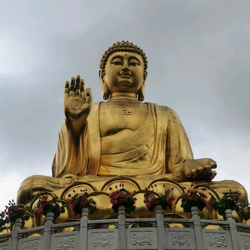 抛物线