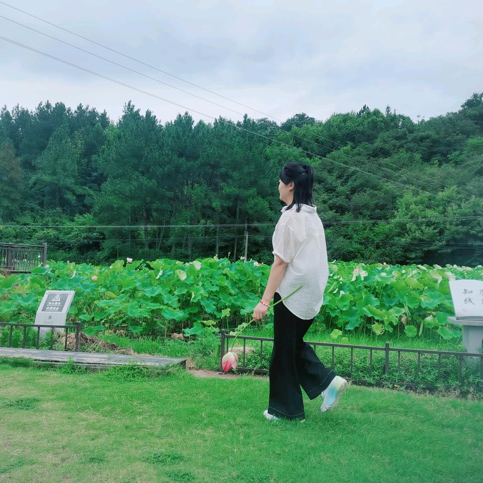 ᭄ꫛ心想事橙🍊꧔ꦿ᭄