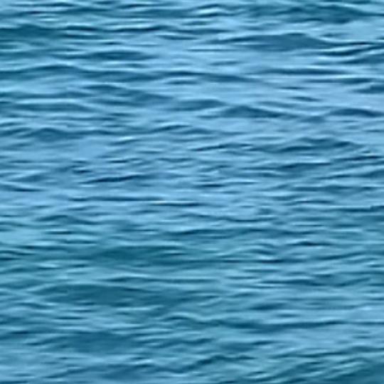 明天会更好