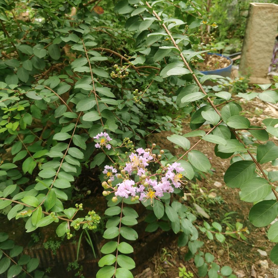 ～阿杰～