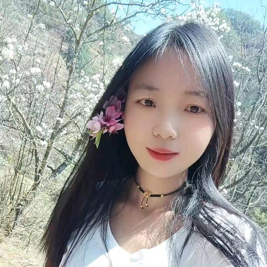 琼姑娘