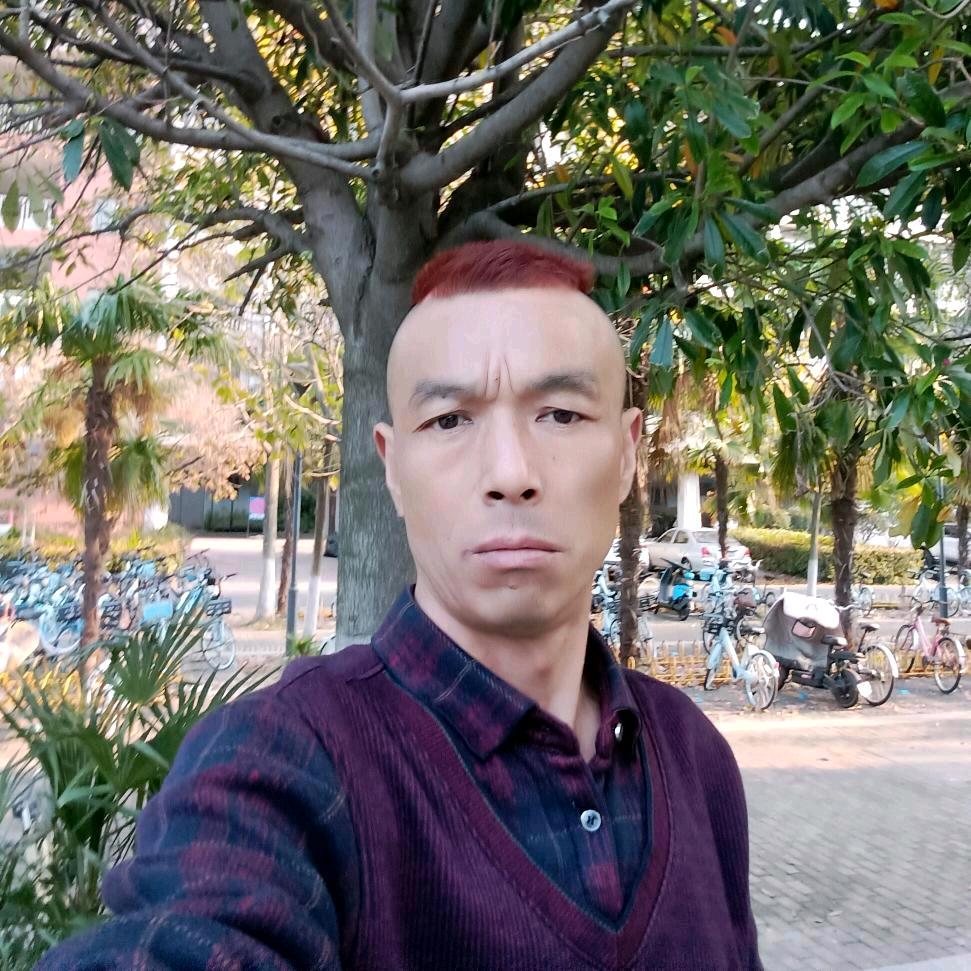 阳光明媚。