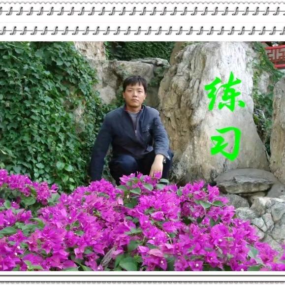 心如止水