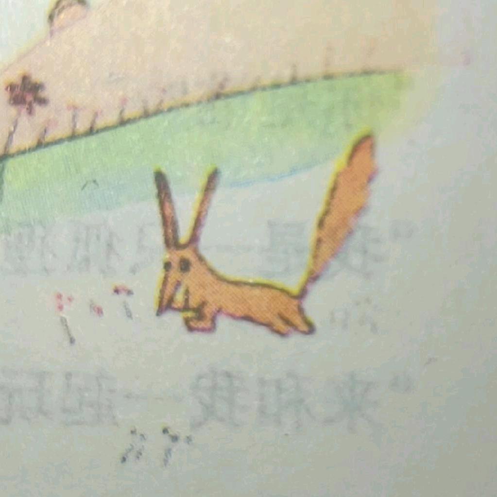 吃饭喝酒养小猫yu