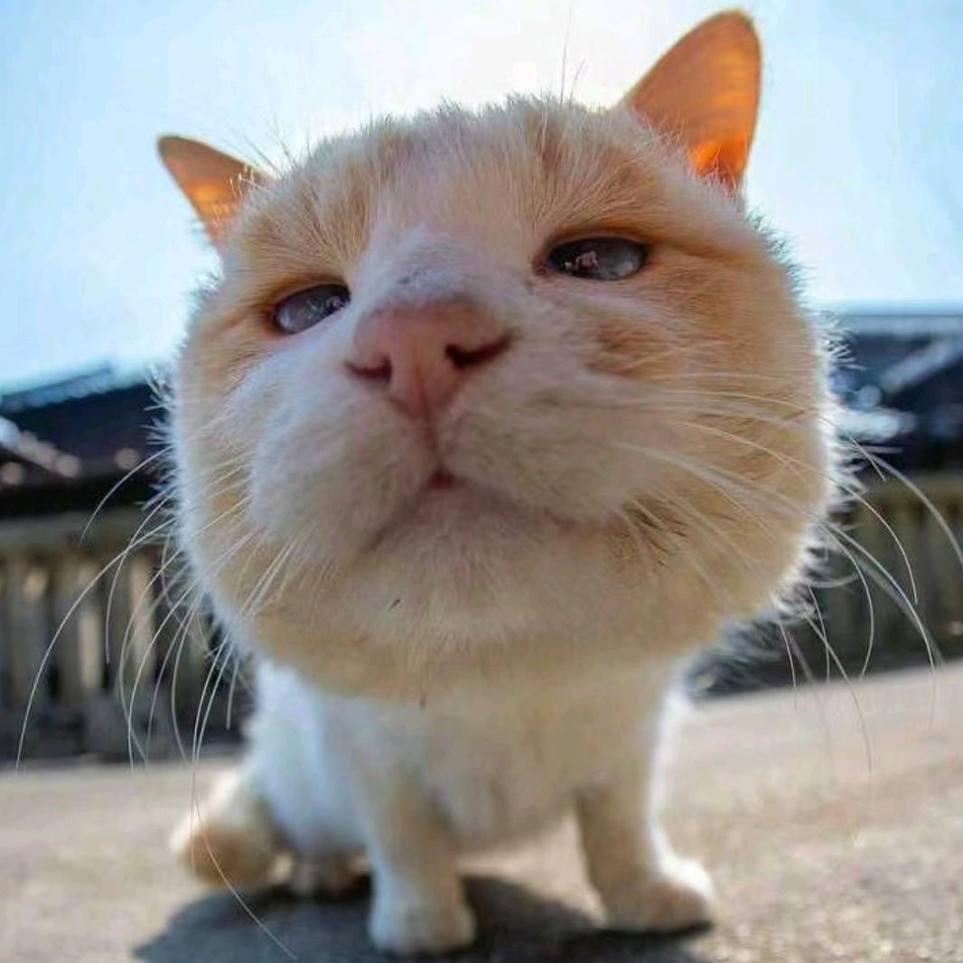 关注我的一定会发财！！