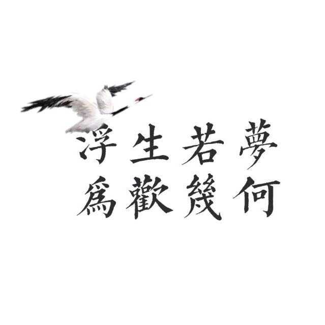 翔子game