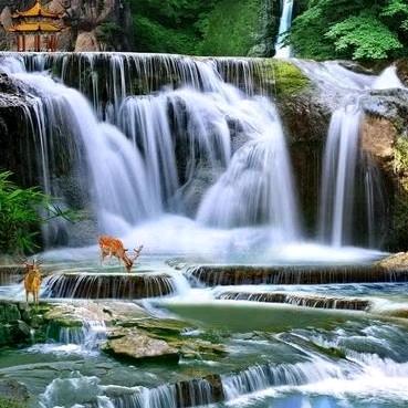 人之初，性本善