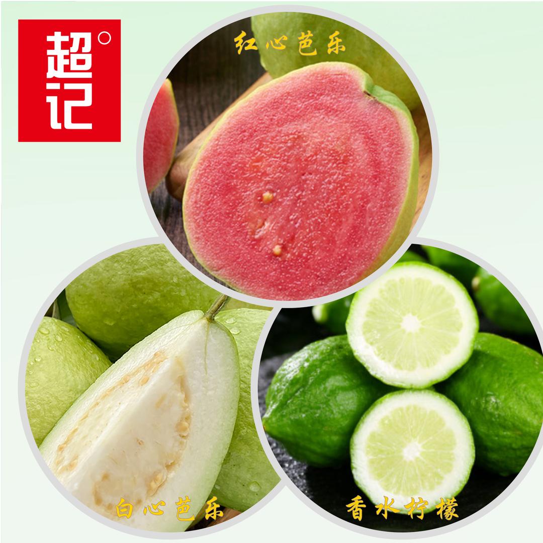 超记400亩芭乐番石榴种植基地
