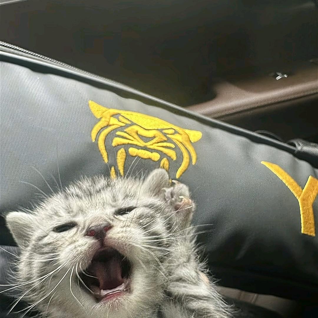 润森高端七类—涛（原新浩源）