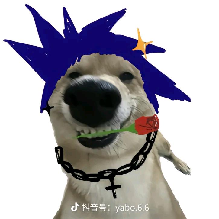 早点睡觉