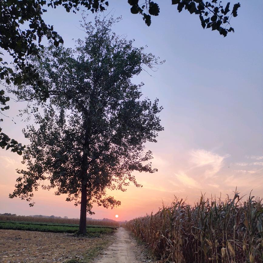 超人🦸🏻‍♀️