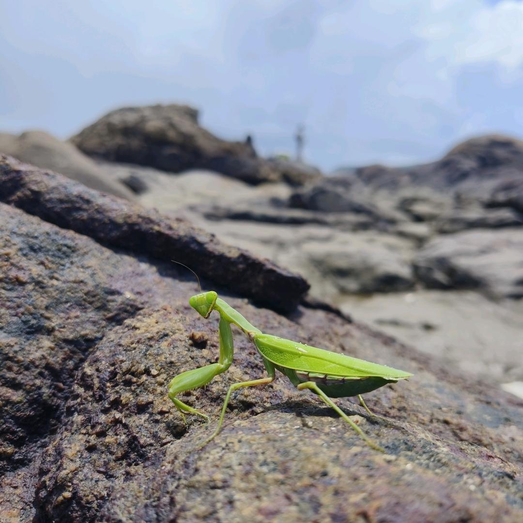 骑士重机工作室啊基
