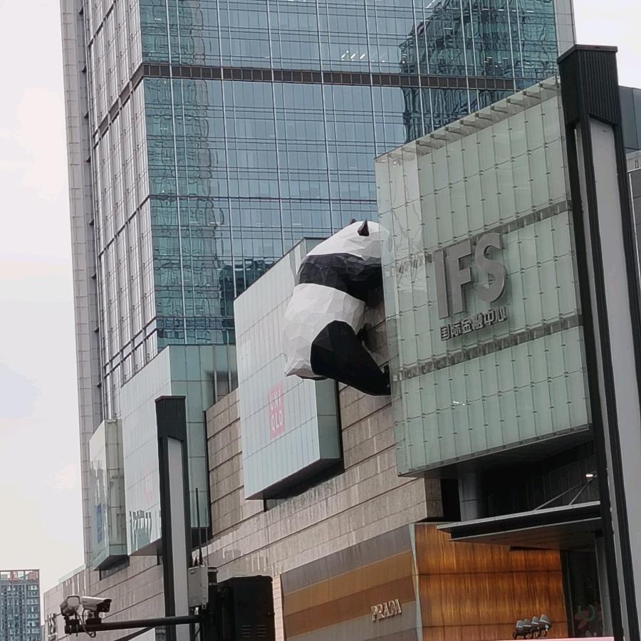 辞忧