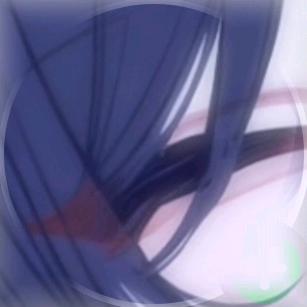 暴君小猫我们喜欢你