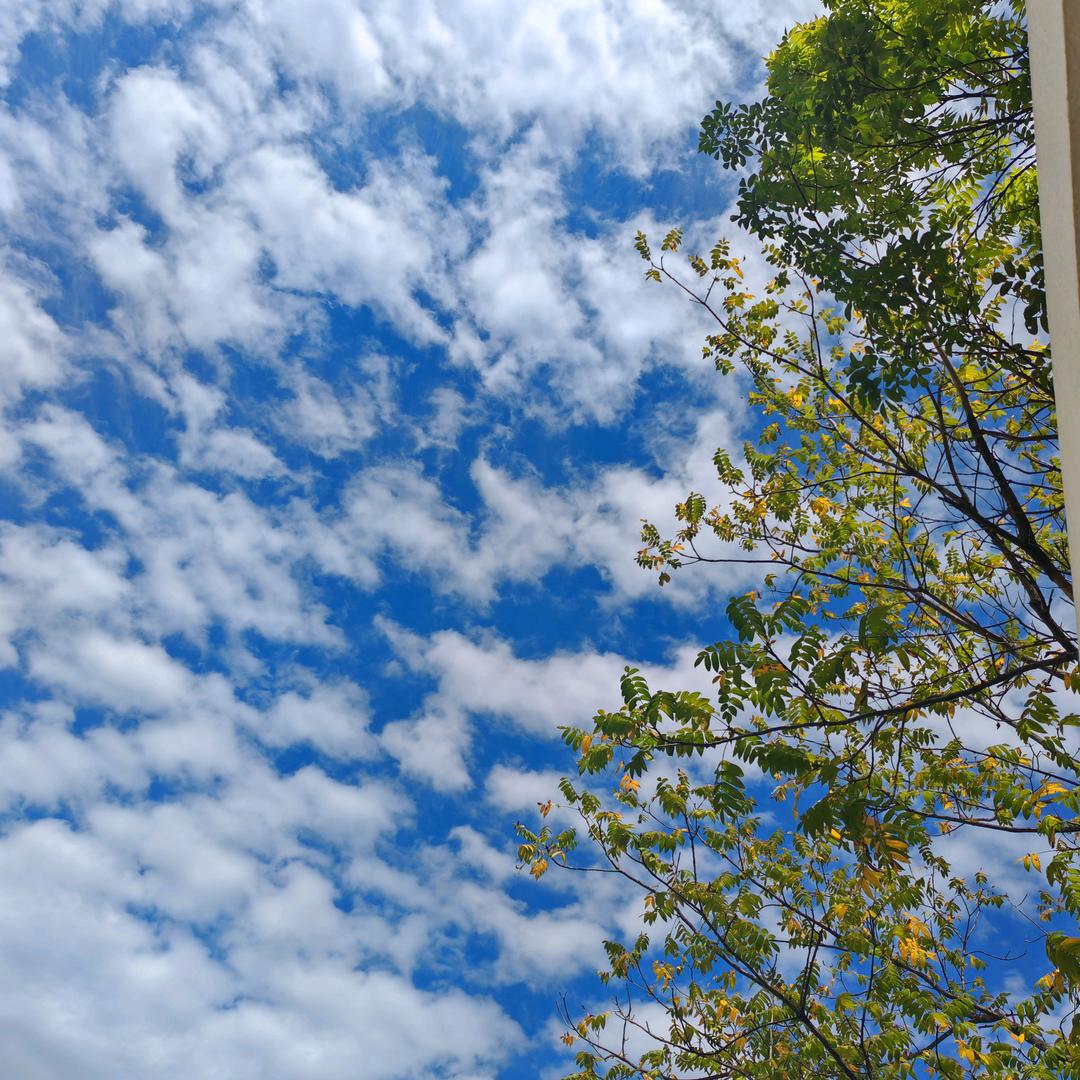 愈见山疗愈民宿