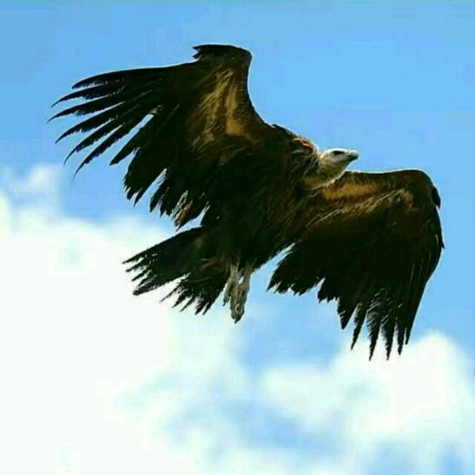 开心！！！快乐