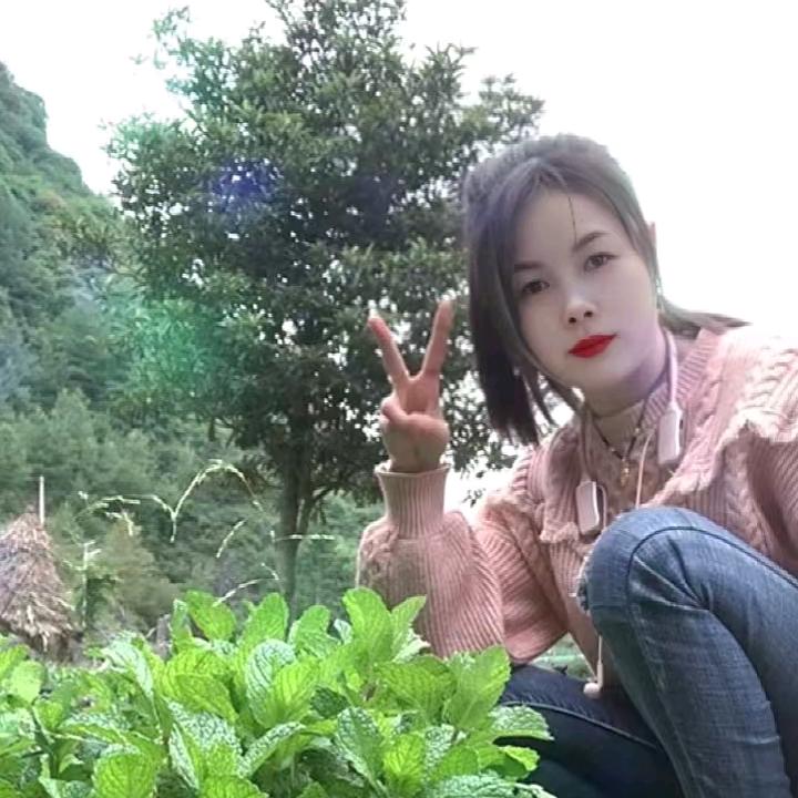 🌷🌹🌺🌸🍎