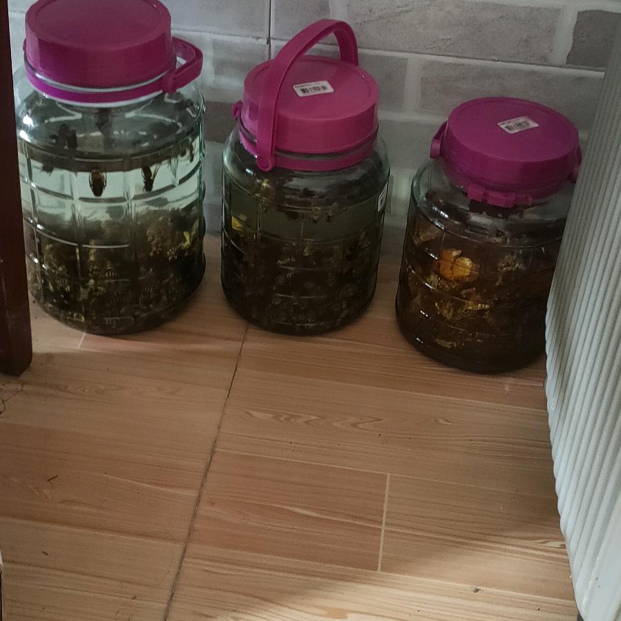 贵州的流浪的人