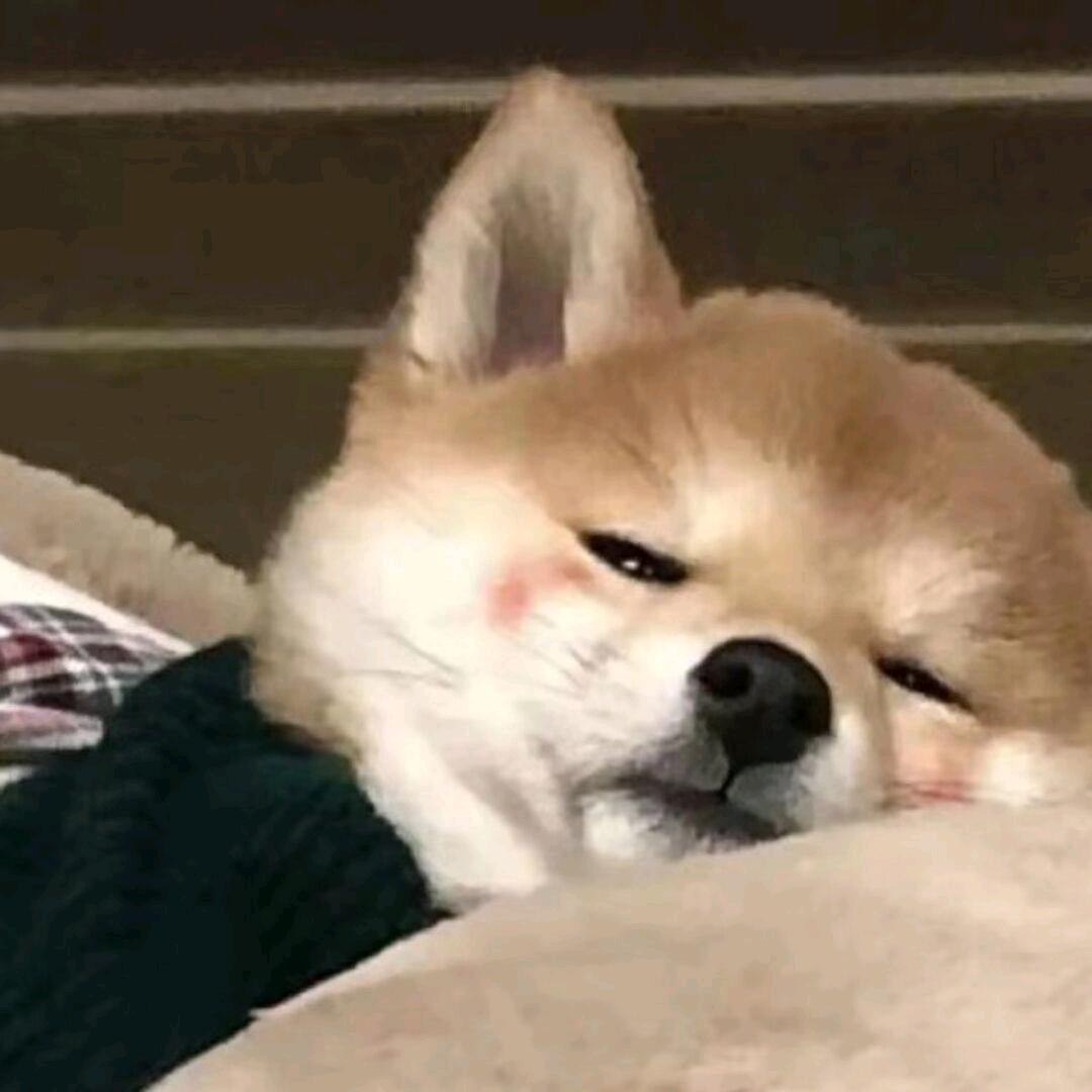 小辞