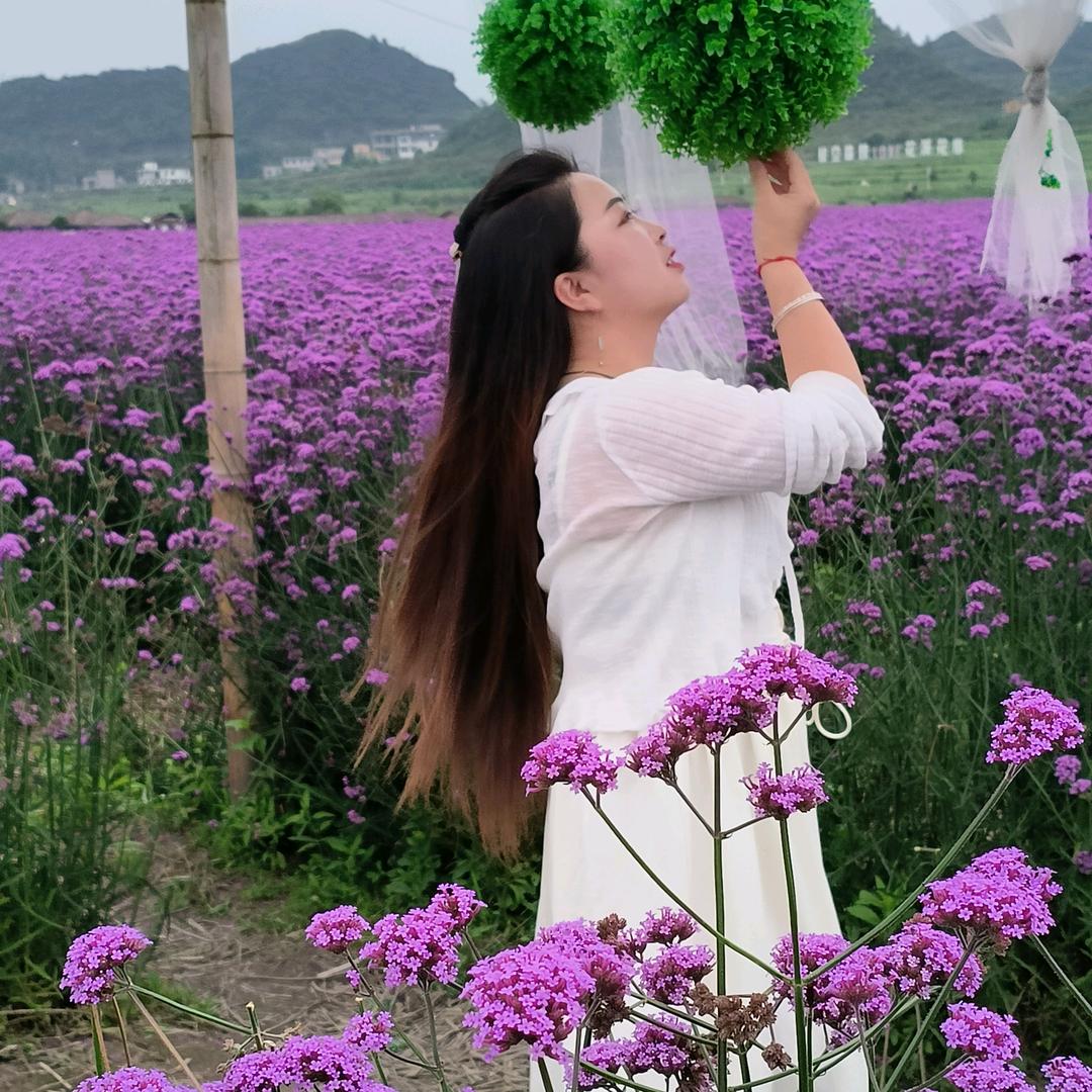 微笑里面带着泪《橱窗里面有好物》