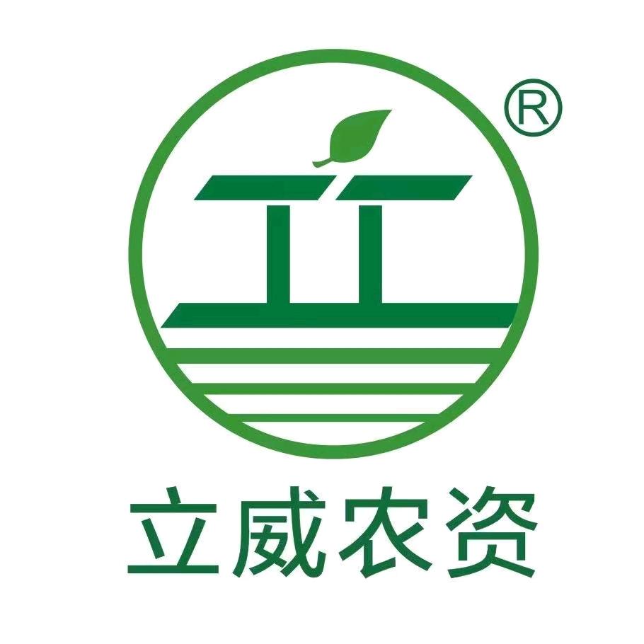 杏